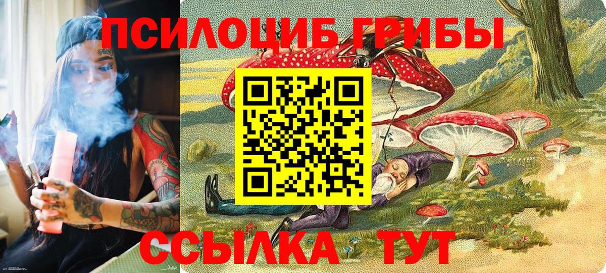 Галлюциногенные грибы MAGIC MUSHROOMS Павлово