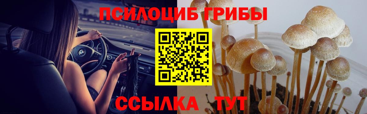 Псилоцибиновые грибы ЛСД  Вход с VPN  Павлово 